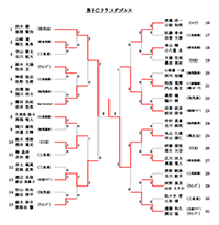 平成２８年度協会杯争奪バドミントン大会結果